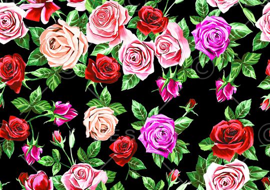 玫瑰花印花华亿平台图片