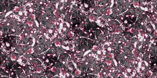 抽象印花华亿平台图片