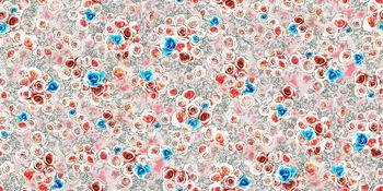 水彩印花华亿平台图片