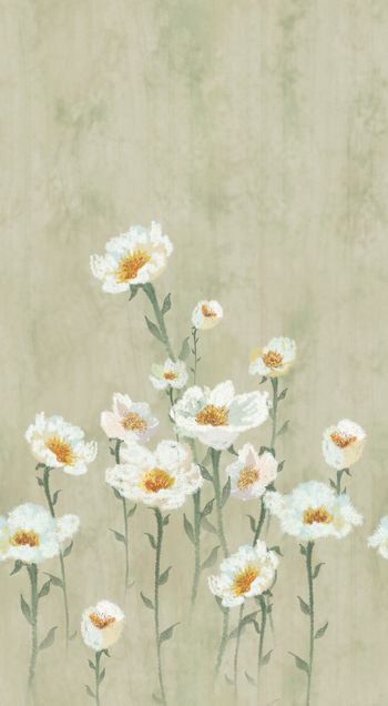 1289918-6 小清新 黄