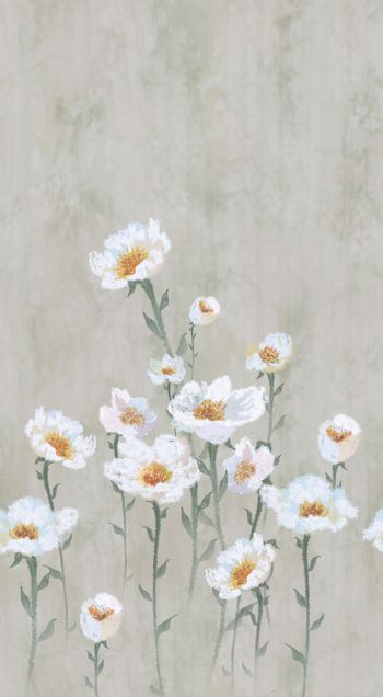 1289922-6 小清新 冷