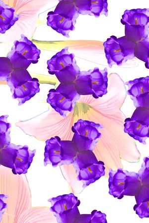 颜色印花华亿平台图片