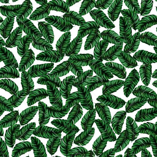 白底花印花华亿平台图片