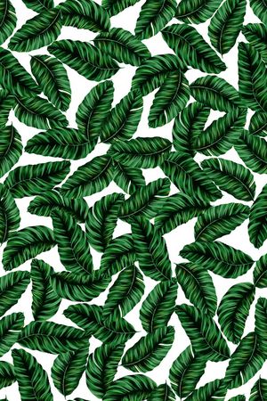 白底花印花华亿平台图片