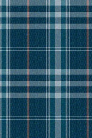 格子印花华亿平台图片