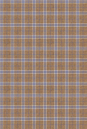 1290403-2019-9-9 3杏