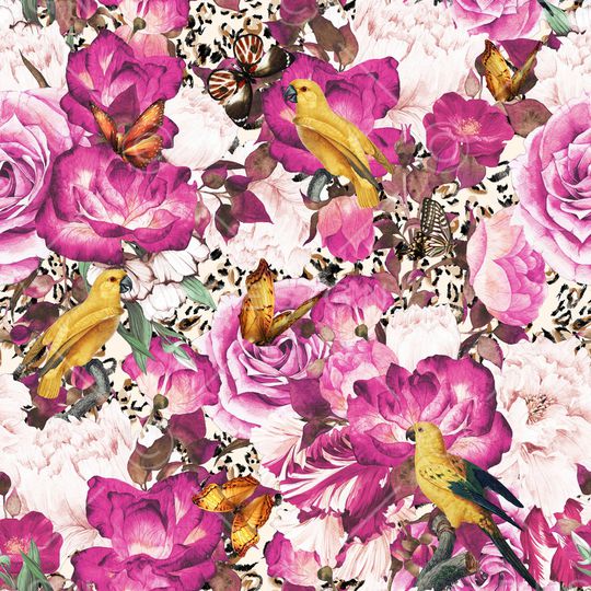 动物印花华亿平台图片