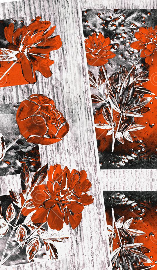 定位花印花华亿平台图片