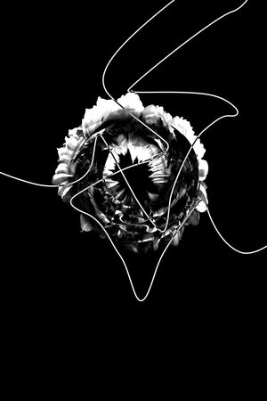 线条印花华亿平台图片