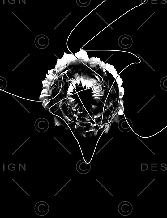 线条印花华亿平台图片