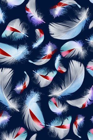 羽毛印花华亿平台图片