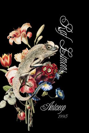 定位花印花华亿平台图片