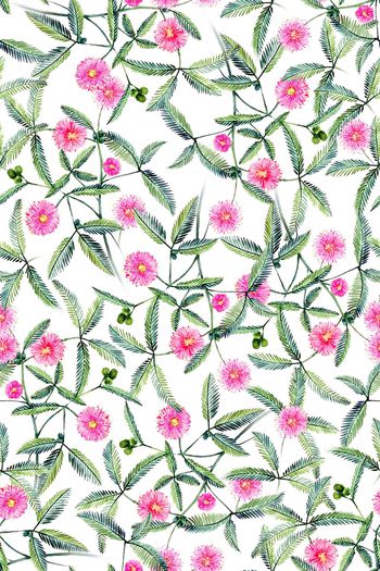 1291747-2020-02-04-A1