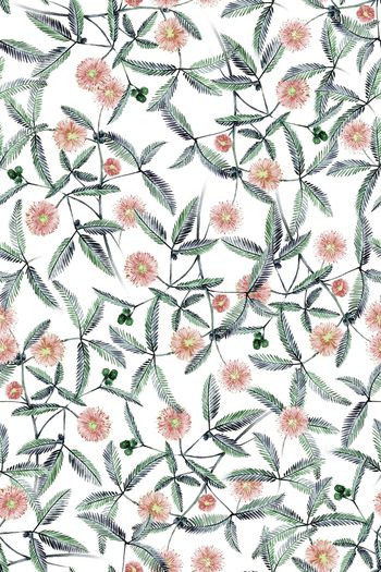 1291748-2020-02-04-B1