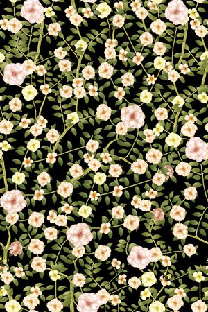 女装印花华亿平台图片