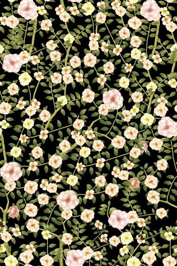 1291868-2020-02-05-A1