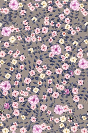 1291869-2020-02-05-B1