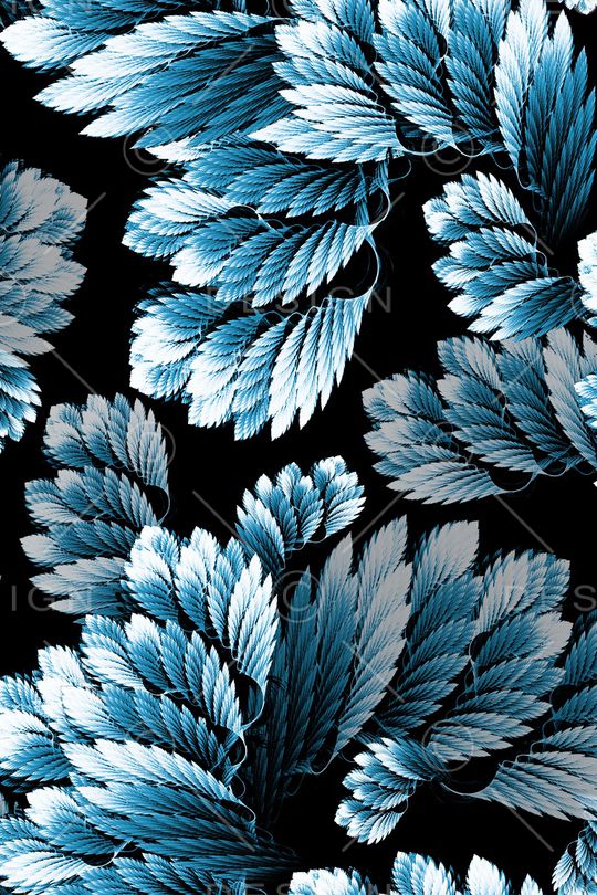 羽毛印花华亿平台图片