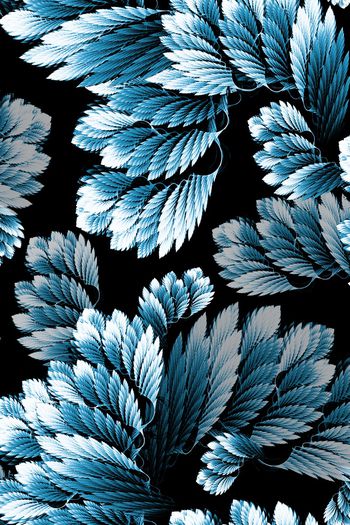 1292021-極光大麥A