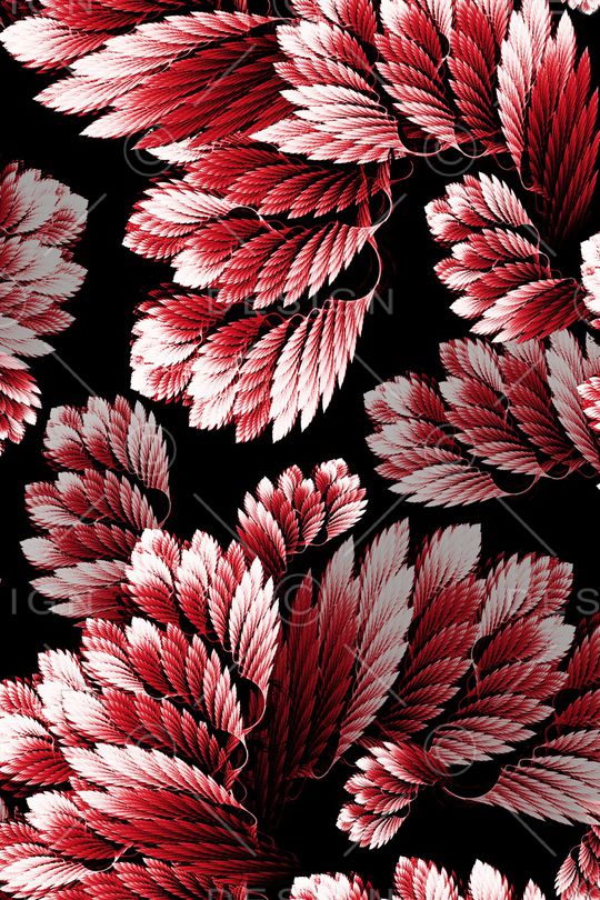 羽毛印花华亿平台图片