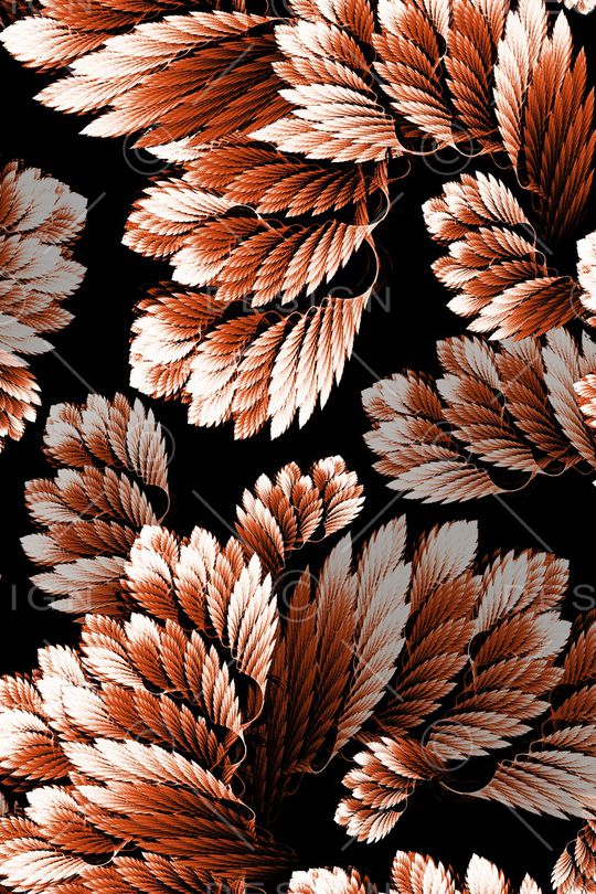 羽毛印花华亿平台图片