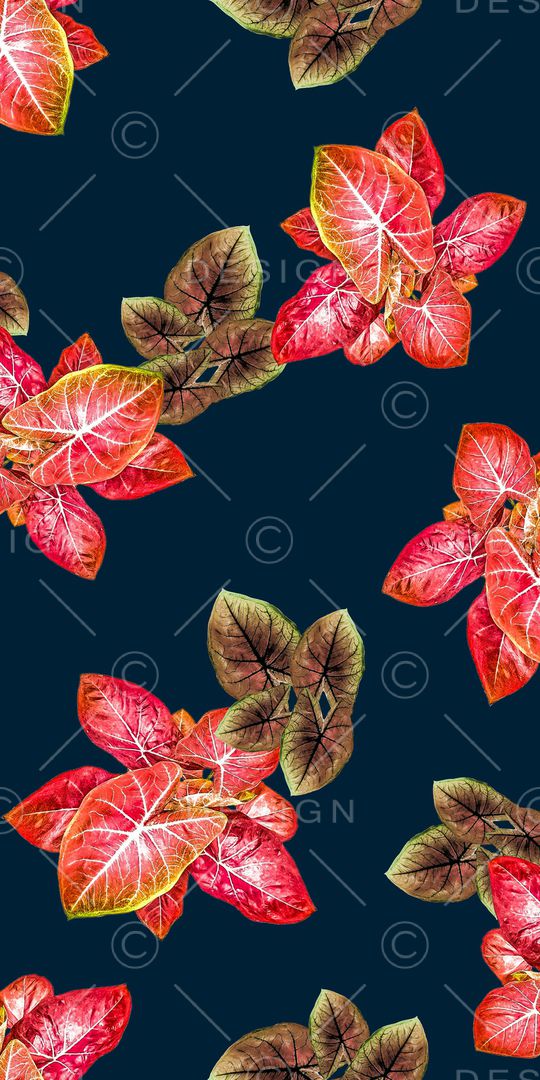 树枝印花华亿平台图片