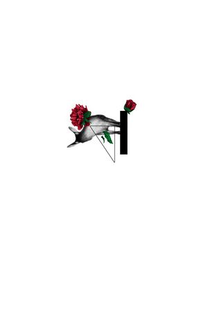 定位花印花华亿平台图片