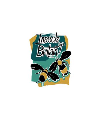 1292679-2020-02-06-1