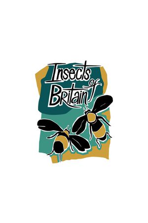 蜜蜂印花华亿平台图片