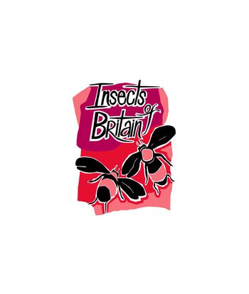 1292680-2020-02-06-2