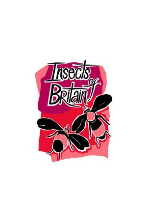 蜜蜂印花华亿平台图片