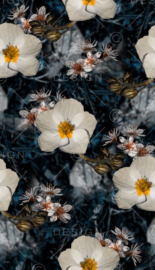 复古印花华亿平台图片