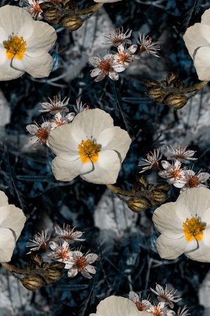 复古印花华亿平台图片