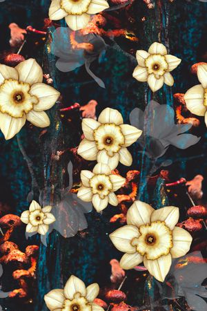 大牌风印花华亿平台图片