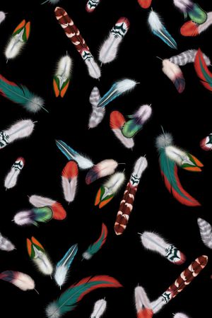 羽毛印花华亿平台图片