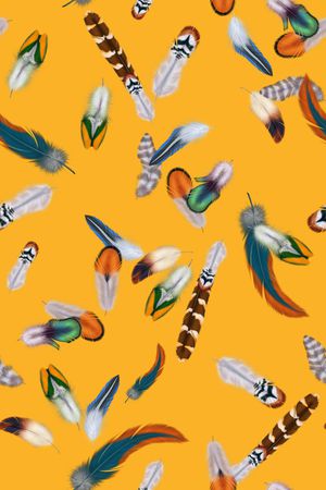 羽毛印花华亿平台图片