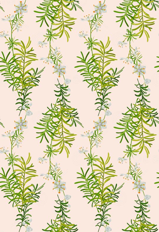 女装印花华亿平台图片