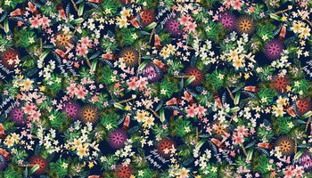 1293855-200215热带碎花回路