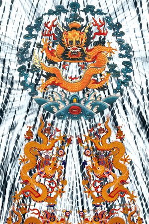 定位花印花华亿平台图片