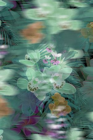 热带华亿平台印花华亿平台图片