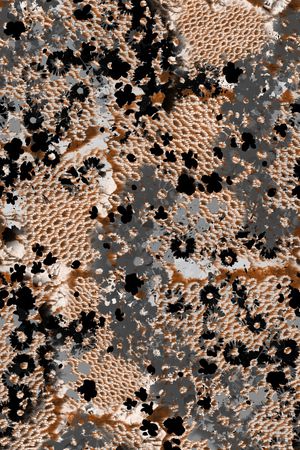 纹理印花华亿平台图片