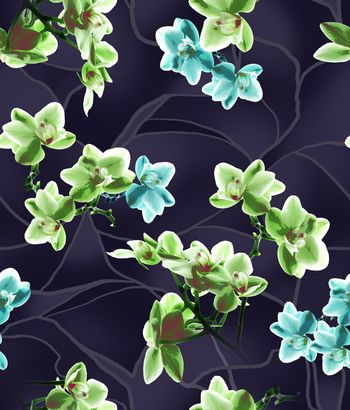 1294161-200216蝴蝶兰