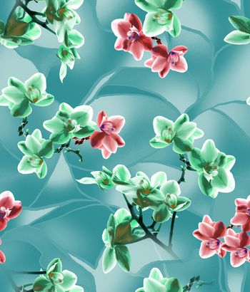 1294162-200216蝴蝶兰蓝色