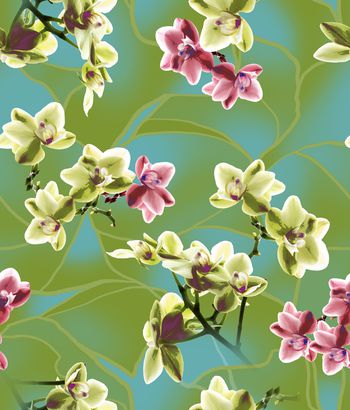 1294163-200216蝴蝶兰绿色