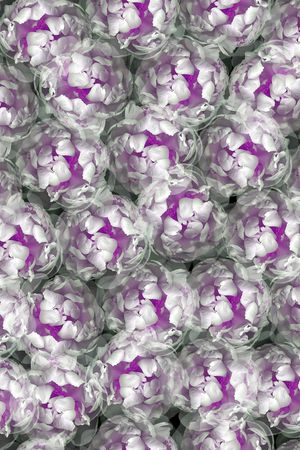 灰色花印花华亿平台图片