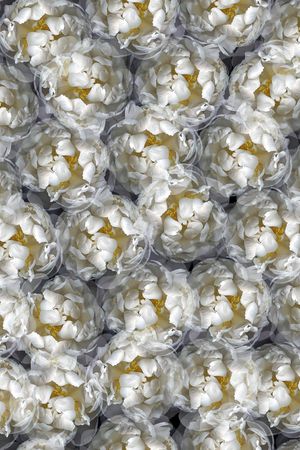 灰色花印花华亿平台图片