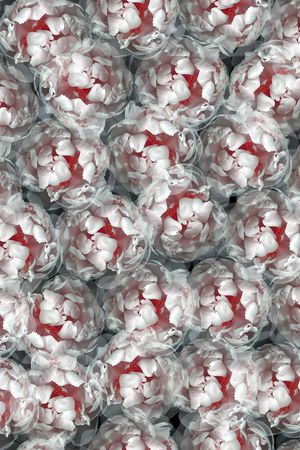 灰色花印花华亿平台图片