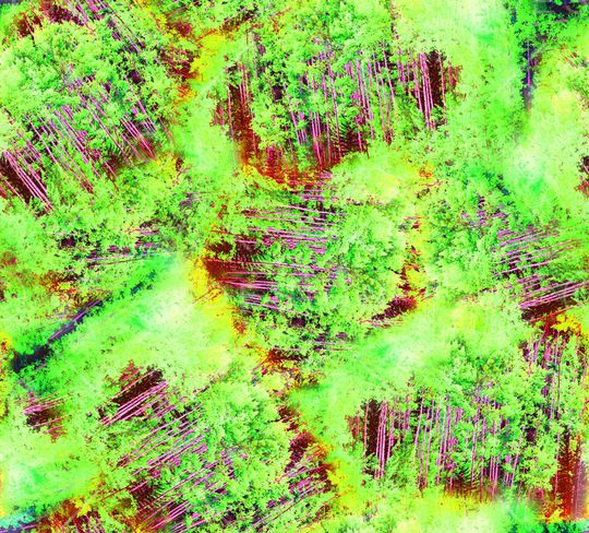 趋势华亿平台印花华亿平台图片