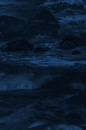 大牌风印花华亿平台图片