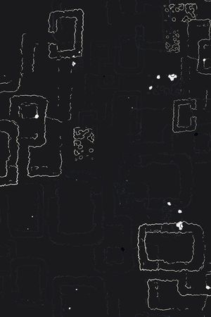 男装休闲花卉印花华亿平台图片